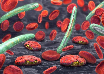 نهج جديد لمكافحة الملاريا يستهدف الكبد وليس الدم