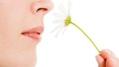 هل يؤثر الإنفصال عن شريك الحياة على حاسة الشم؟