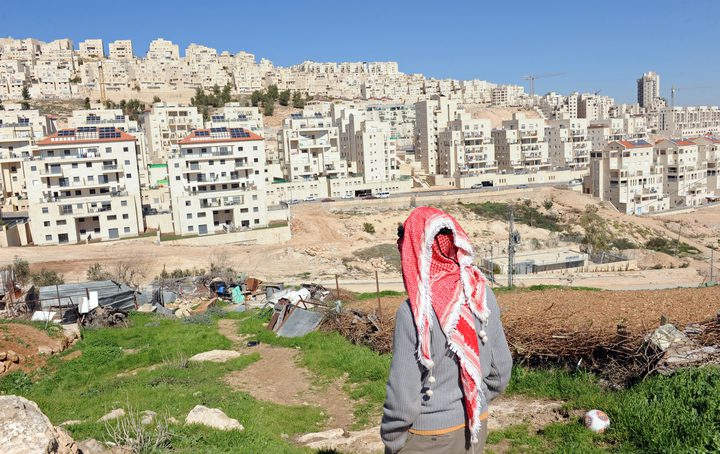 مستوطنون يجرفون 500 دونم من أراضي قرية أم صفا