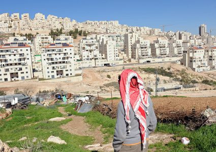 مستوطنون يجرفون 500 دونم من أراضي قرية أم صفا