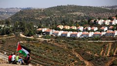 الأمم المتحدة تصوت لصالح حق سيادة فلسطين على مواردها