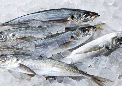 هل يقلل تجميد السمك فوائده الغذائية؟