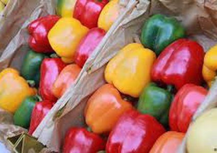 ما الفرق بين الفلفل الأخضر والأصفر والأحمر؟