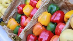 ما الفرق بين الفلفل الأخضر والأصفر والأحمر؟