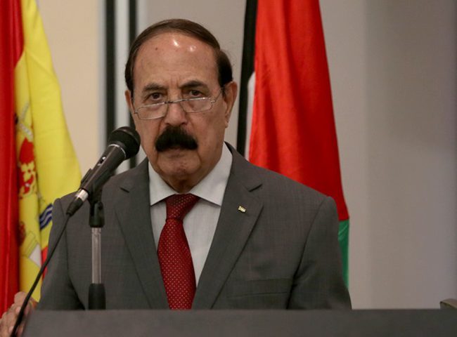 إسماعيل: قرار المحكمة الدستورية مصلحة وطنية عليا