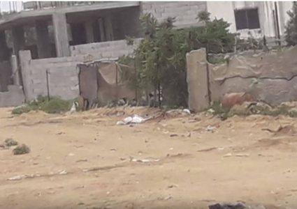 "النجاح" تبث تحقيقا استقصائيّا حول الفساد في المنحة العمانية