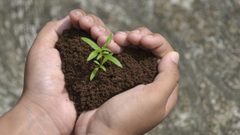 تناول ملعقة "تراب" بجانب وجبة الطعام.. ماذا يحدث لجسمك؟