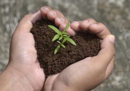 تناول ملعقة "تراب" بجانب وجبة الطعام.. ماذا يحدث لجسمك؟