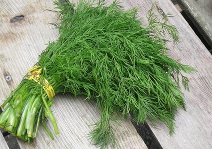 ما هي فوائد عشبة الشبت الصحية؟