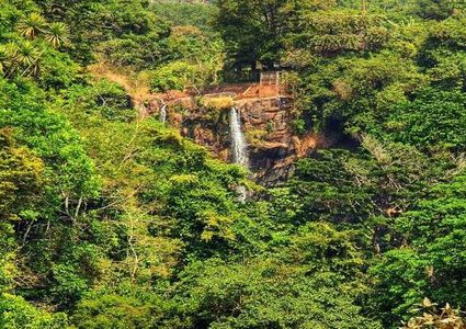 كائن "جديد" ينقرض قبل تسميته رسميا!