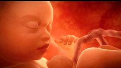 لماذا يركل الجنين بطن والدته؟