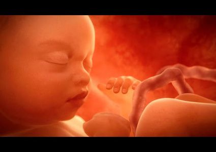 لماذا يركل الجنين بطن والدته؟