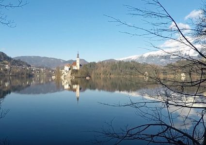 سكان برلين يسبحون في بحيرة باردة احتفالا بالميلاد