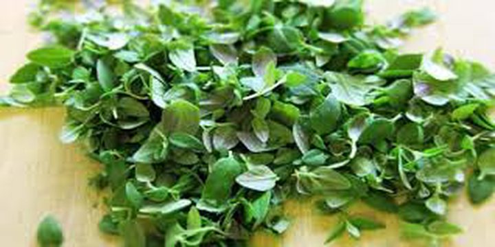فوائد ضمة الزعتر في المطبخ شتاءا