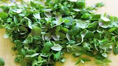 فوائد ضمة الزعتر في المطبخ شتاءا