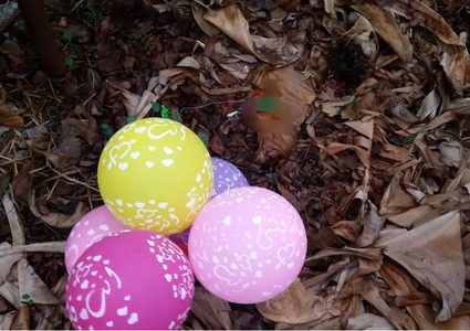 الاحتلال يزعم العثور على بالونات حارقة في مستوطنات غلاف غزة