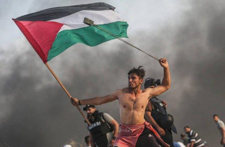 من بين الصورة الاجمل عالمياً لعام 2018....صورة من غزة