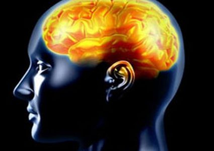 الافرط بالمشاعر مرتبط بعدد خلايا الدماغ