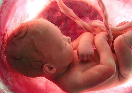 حالة نادرة جدا... جنين ينمو داخل كبد أمه