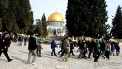 مستوطنون يستأنفون اقتحاماتهم للمسجد الأقصى