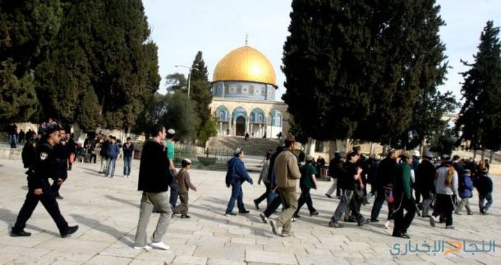 مستوطنون يستأنفون اقتحاماتهم للمسجد الأقصى