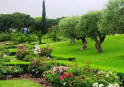 دراسة تكشف مدى تأثر "قلبك" بالمساحات الخصراء