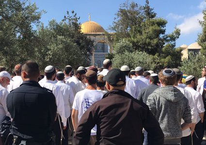 29 ألف متطرف اقتحموا المسجد الأقصى خلال 2018