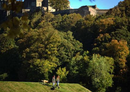 قلبك والمساحات الخضراء.. دراسة تكشف علاقة مثيرة