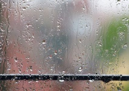 كيف سيكون طقس نهاية الأسبوع؟