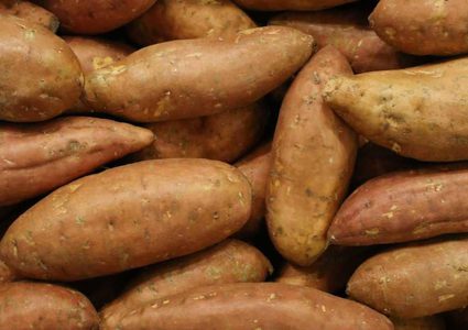 البطاطا الحلوة وعلاقتها بمرض السكري