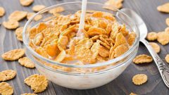 تحذير.. "الكورن فليكس" مادة سامة على مائدة الافطار