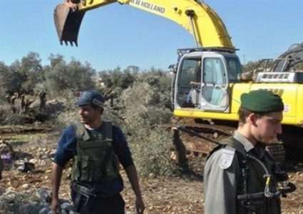قوات الاحتلال تقتلع اشجار زيتون في بروقين