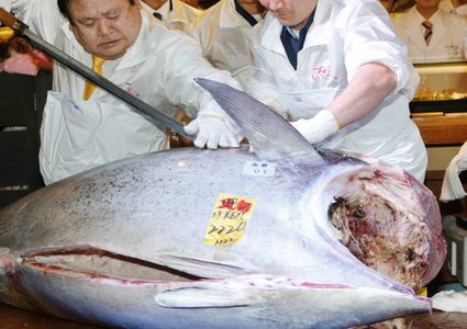 سمكة تونة بـ3 ملايين دولار في اليابان