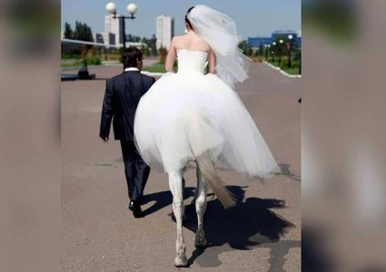 باريدوليا.. "المرأة الفرس" تتزوج