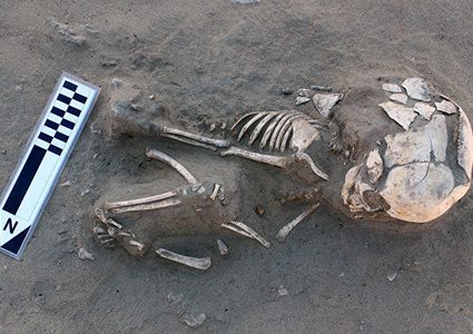 استخدام البقايا البشرية كسماد في أمريكا!