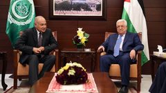 الرئيس يستقبل أبو الغيط ويطلعه على آخر التطورات