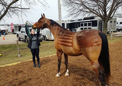 بريطانية تقوم  بالرسم على أجساد الخيول