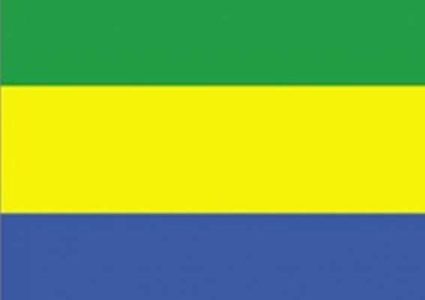 عسكريون غابونيون يعلنون تشكيل "مجلس وطني للإصلاح"