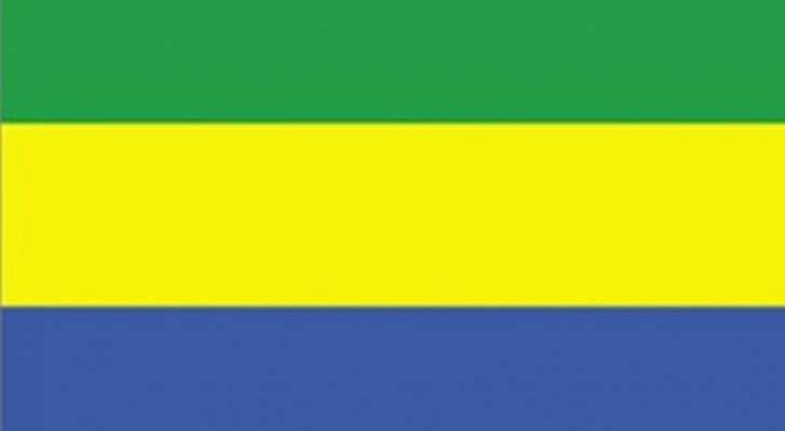 عسكريون غابونيون يعلنون تشكيل "مجلس وطني للإصلاح"