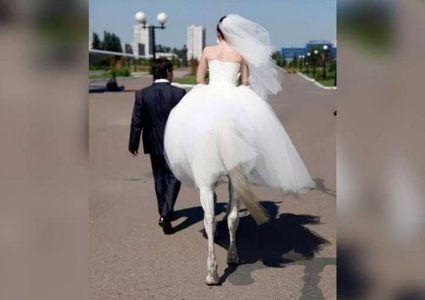 باريدوليا.. "المرأة الفرس" تتزوج