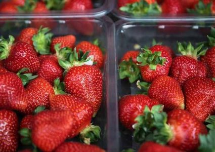 تعرف على 10 أطعم لا غني عنها في عمر الخمسين