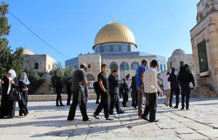 مستوطنون يقتحمون الأقصى بحماية مشددة