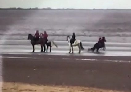 طفلة عمرها 9 سنوات تتعرض لحادث مروّع... بسبب كلب