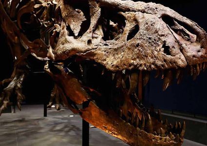 دراسة تكشف: تسونامي عظيم وراء انقراض الديناصورات