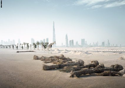 زرافة "أمام برج خليفة"؟ ما القصة وراء هذه الصورة؟