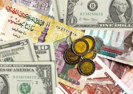 مصر.. تراجع الاستثمار الأجنبي المباشر 40 بالمائة