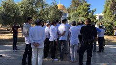 مستوطنون يقتحمون المسجد الاقصى