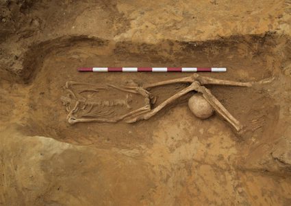 اكتشاف العشرات من الهياكل العظمية في مقابر غامضة