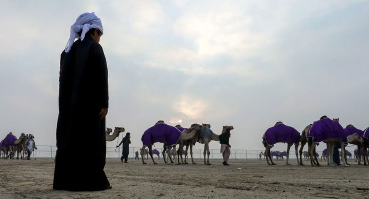 إماراتي يحتجز عمالاً هنوداً في قفص حيوانات