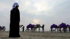 إماراتي يحتجز عمالاً هنوداً في قفص حيوانات